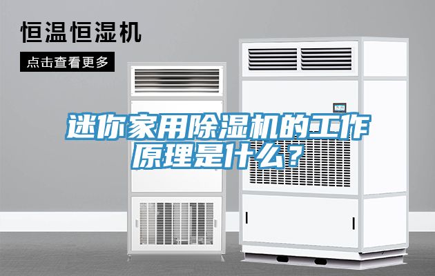 迷你家用除濕機(jī)的工作原理是什么？