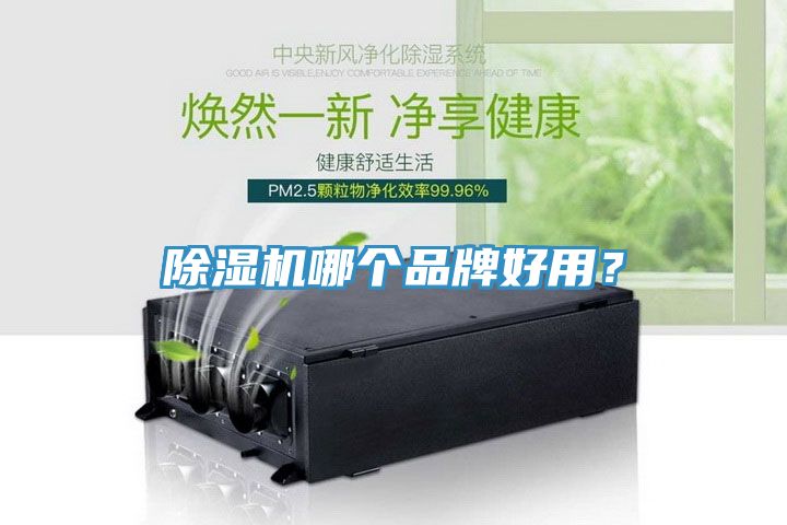 除濕機(jī)哪個(gè)品牌好用？