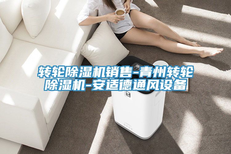 轉(zhuǎn)輪除濕機銷售-青州轉(zhuǎn)輪除濕機-安適德通風設備