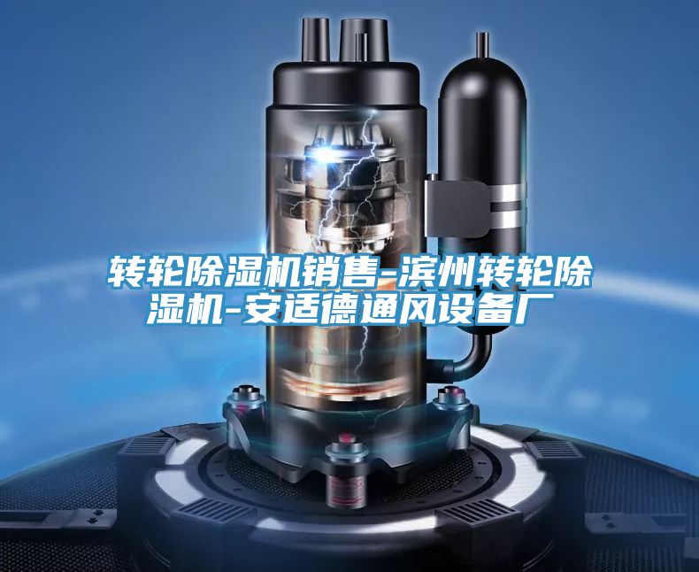 轉(zhuǎn)輪除濕機銷售-濱州轉(zhuǎn)輪除濕機-安適德通風設備廠