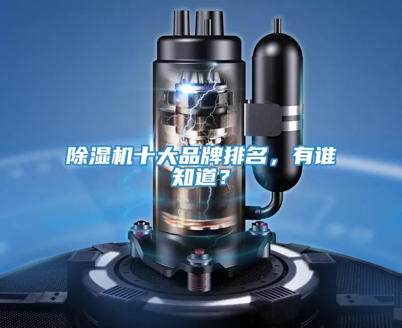 除濕機(jī)十大品牌排名，有誰知道？