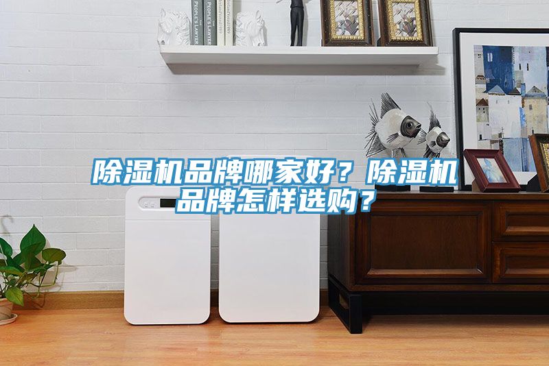除濕機(jī)品牌哪家好？除濕機(jī)品牌怎樣選購？