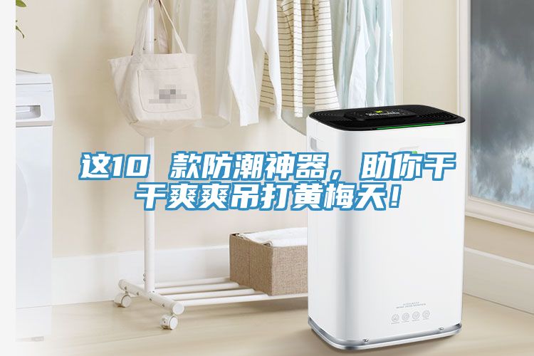 這10 款防潮神器，助你干干爽爽吊打黃梅天！