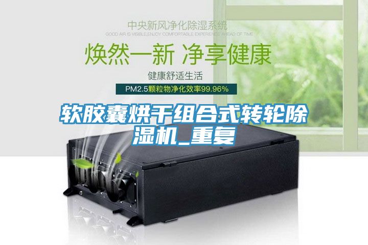 軟膠囊烘干組合式轉(zhuǎn)輪除濕機_重復