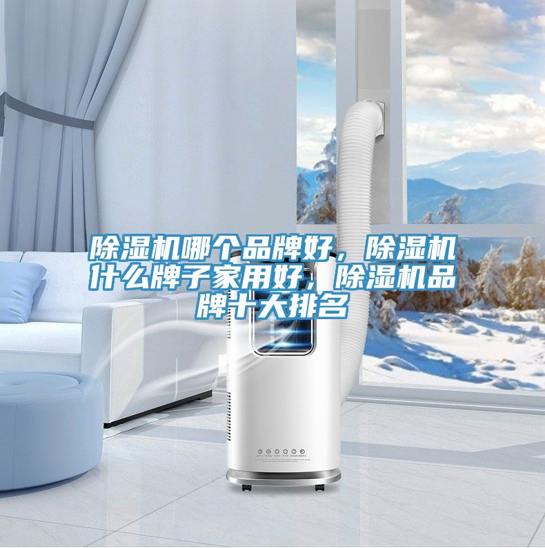 除濕機哪個品牌好，除濕機什么牌子家用好，除濕機品牌十大排名