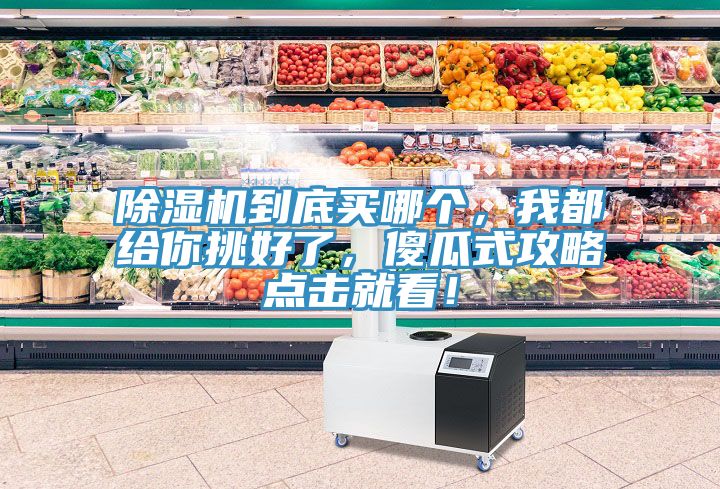 除濕機(jī)到底買哪個(gè)，我都給你挑好了，傻瓜式攻略點(diǎn)擊就看！