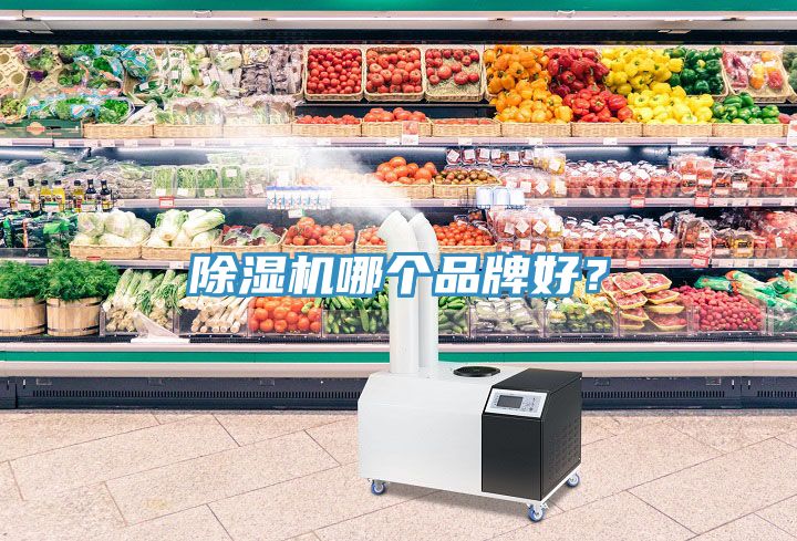 除濕機哪個品牌好？