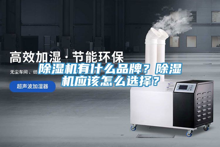 除濕機(jī)有什么品牌？除濕機(jī)應(yīng)該怎么選擇？