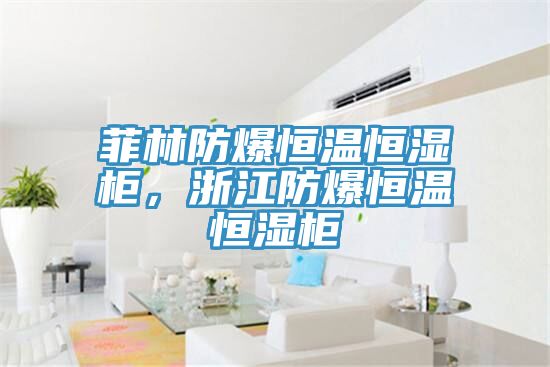 菲林防爆恒溫恒濕柜，浙江防爆恒溫恒濕柜