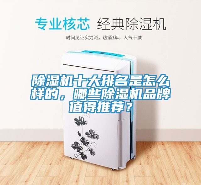 除濕機(jī)十大排名是怎么樣的，哪些除濕機(jī)品牌值得推薦？