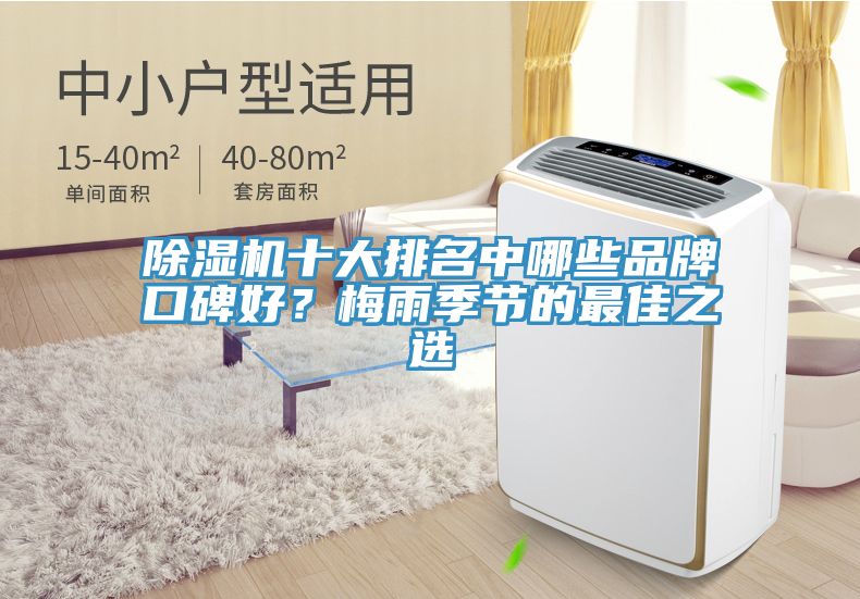 除濕機(jī)十大排名中哪些品牌口碑好？梅雨季節(jié)的最佳之選
