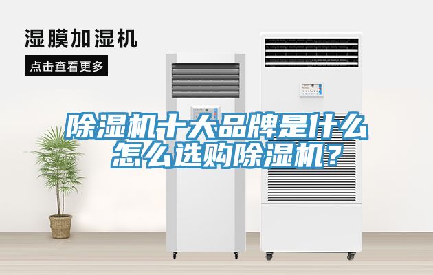 除濕機(jī)十大品牌是什么 怎么選購除濕機(jī)？