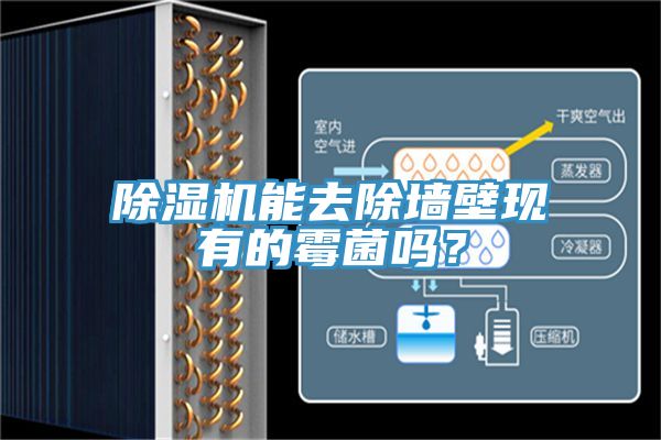 除濕機(jī)能去除墻壁現(xiàn)有的霉菌嗎？