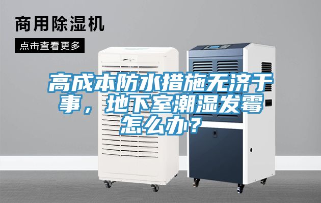 高成本防水措施無(wú)濟(jì)于事，地下室潮濕發(fā)霉怎么辦？
