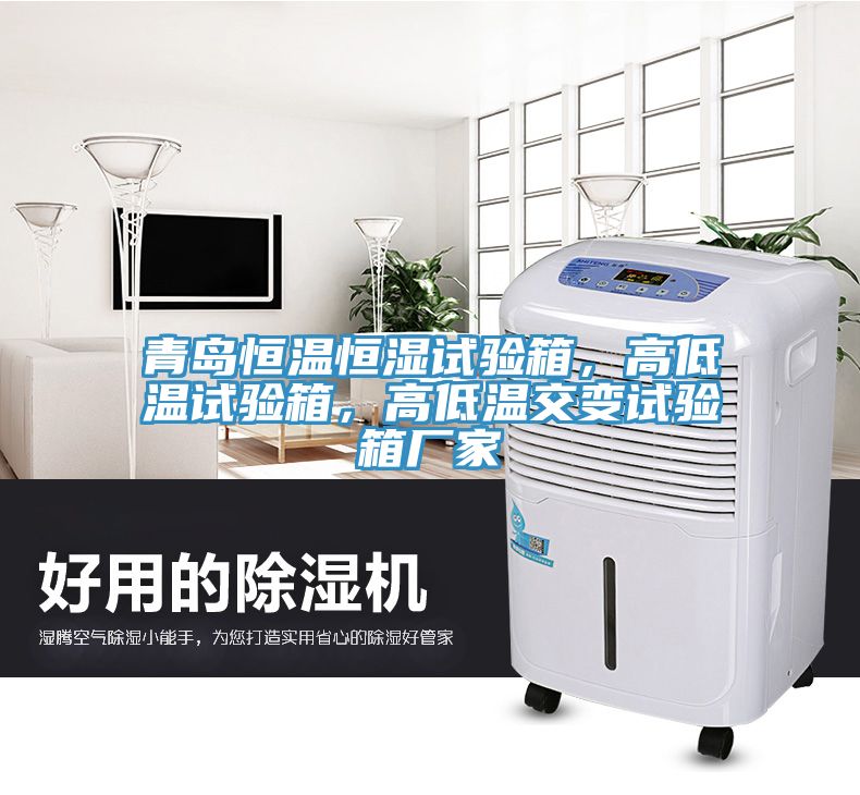 青島恒溫恒濕試驗箱，高低溫試驗箱，高低溫交變試驗箱廠家