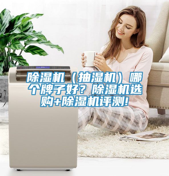 除濕機（抽濕機）哪個牌子好？除濕機選購+除濕機評測!