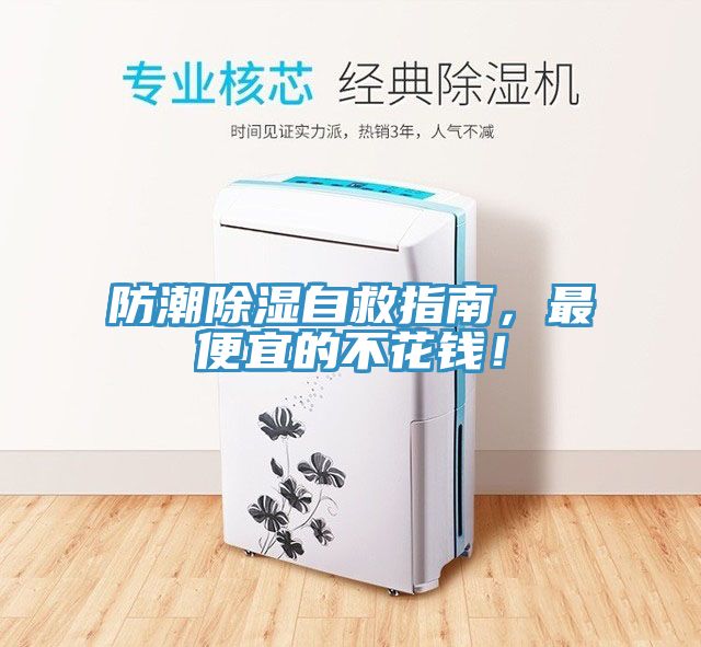 防潮除濕自救指南，最便宜的不花錢！
