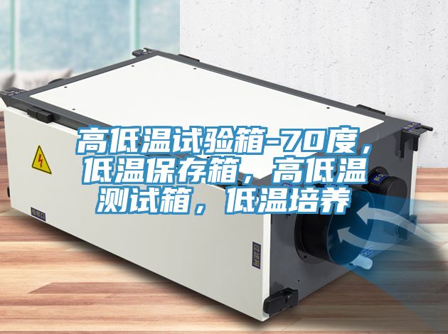 高低溫試驗箱-70度，低溫保存箱，高低溫測試箱，低溫培養(yǎng)