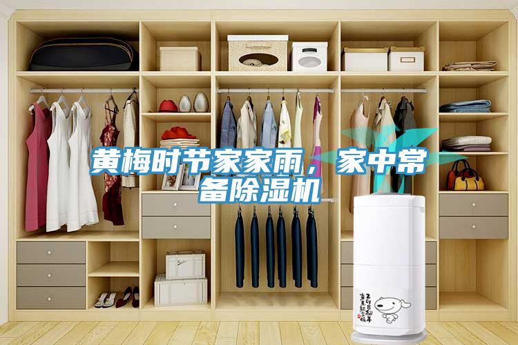 黃梅時節(jié)家家雨，家中常備除濕機