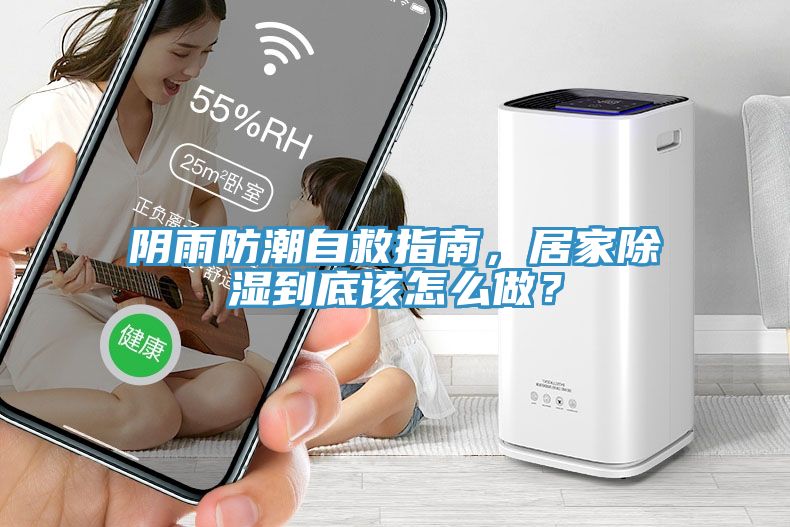 陰雨防潮自救指南，居家除濕到底該怎么做？