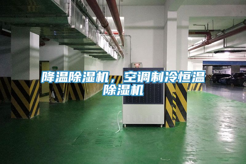 降溫除濕機，空調制冷恒溫除濕機