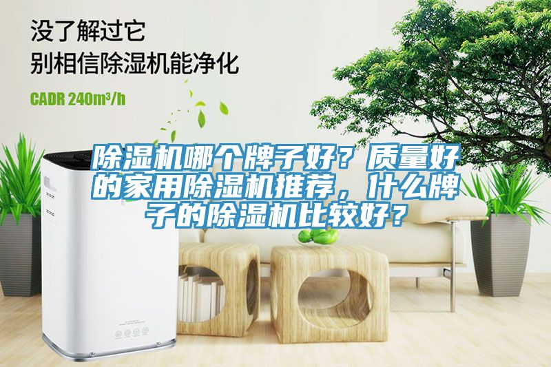 除濕機(jī)哪個(gè)牌子好？質(zhì)量好的家用除濕機(jī)推薦，什么牌子的除濕機(jī)比較好？