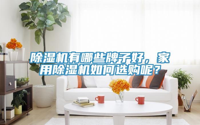 除濕機(jī)有哪些牌子好，家用除濕機(jī)如何選購(gòu)呢？