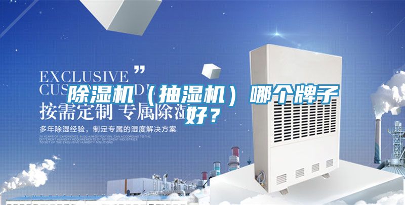 除濕機（抽濕機）哪個牌子好？