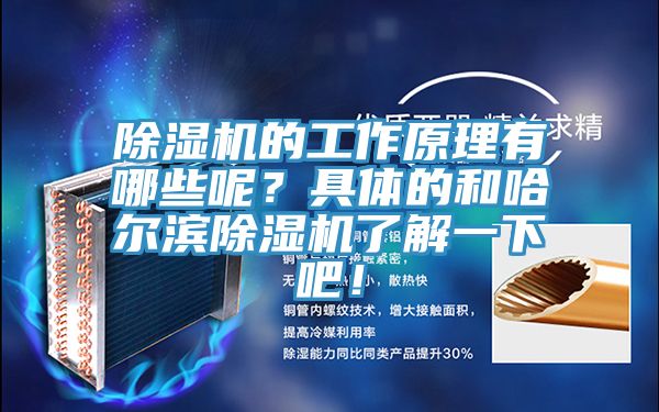 除濕機(jī)的工作原理有哪些呢？具體的和哈爾濱除濕機(jī)了解一下吧！