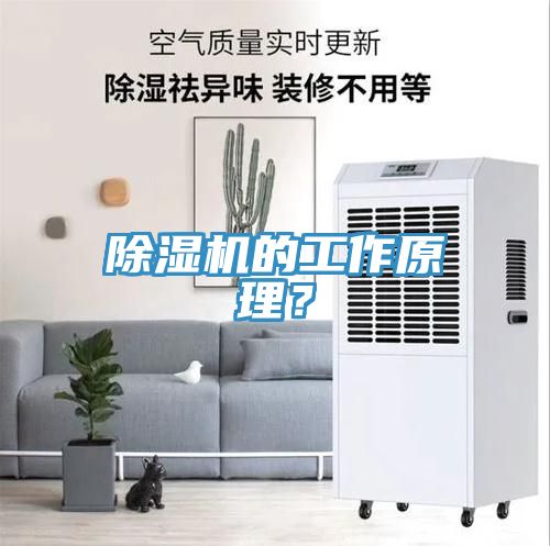 除濕機(jī)的工作原理？
