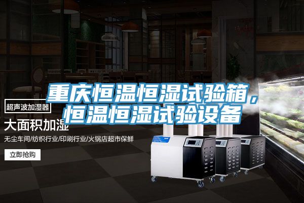 重慶恒溫恒濕試驗箱，恒溫恒濕試驗設備