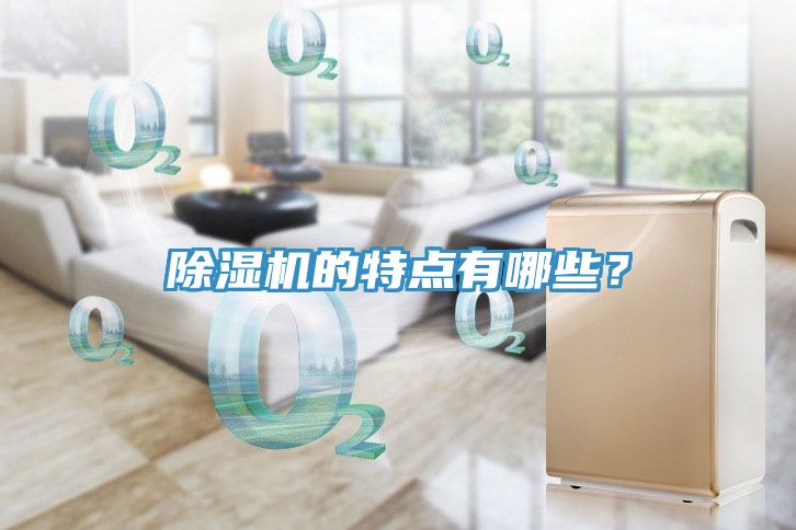 除濕機(jī)的特點(diǎn)有哪些？