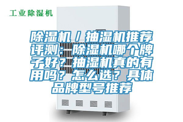 除濕機(jī)／抽濕機(jī)推薦評(píng)測(cè)：除濕機(jī)哪個(gè)牌子好？抽濕機(jī)真的有用嗎？怎么選？具體品牌型號(hào)推薦