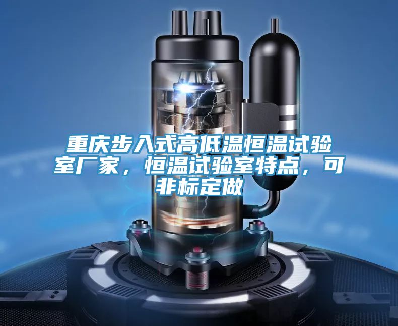 重慶步入式高低溫恒溫試驗(yàn)室廠家，恒溫試驗(yàn)室特點(diǎn)，可非標(biāo)定做