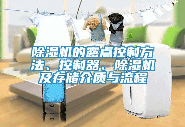 除濕機(jī)的露點(diǎn)控制方法、控制器、除濕機(jī)及存儲介質(zhì)與流程