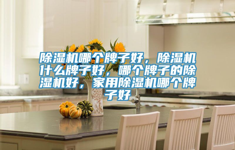 除濕機(jī)哪個牌子好，除濕機(jī)什么牌子好，哪個牌子的除濕機(jī)好，家用除濕機(jī)哪個牌子好