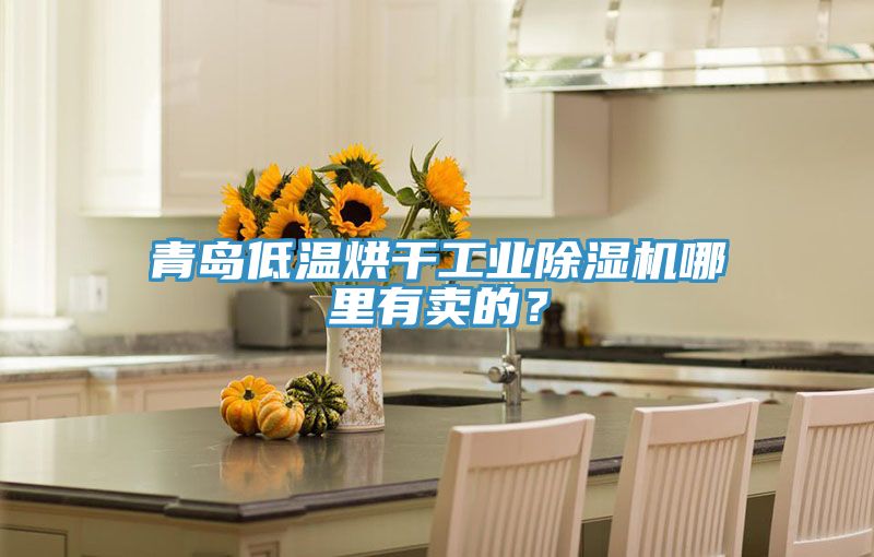 青島低溫烘干工業(yè)除濕機哪里有賣的？