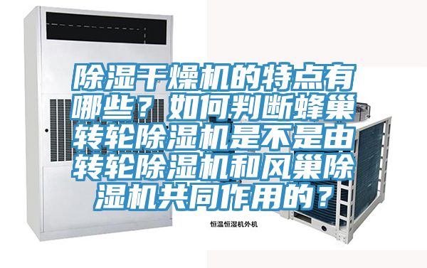 除濕干燥機的特點有哪些？如何判斷蜂巢轉(zhuǎn)輪除濕機是不是由轉(zhuǎn)輪除濕機和風巢除濕機共同作用的？
