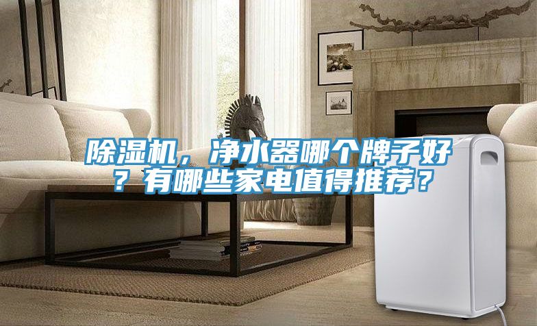 除濕機(jī)，凈水器哪個牌子好？有哪些家電值得推薦？