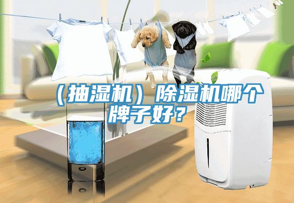 （抽濕機）除濕機哪個牌子好？