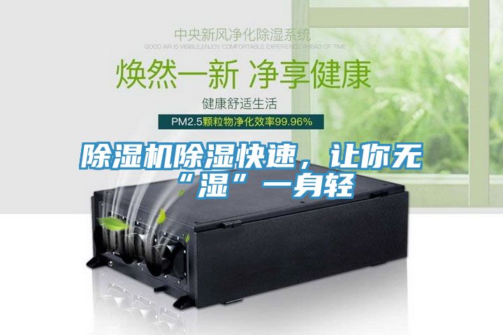 除濕機除濕快速，讓你無“濕”一身輕