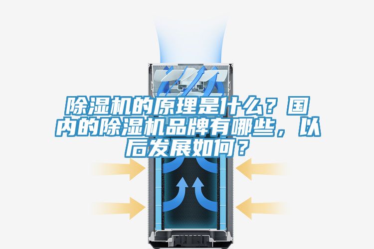 除濕機的原理是什么？國內(nèi)的除濕機品牌有哪些，以后發(fā)展如何？