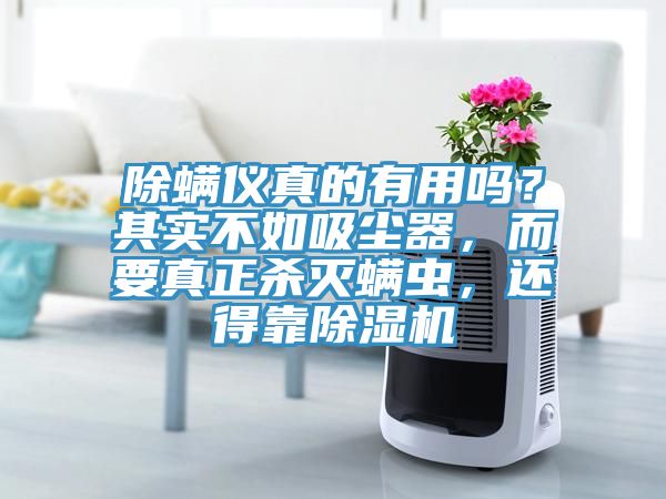 除螨儀真的有用嗎？其實(shí)不如吸塵器，而要真正殺滅螨蟲(chóng)，還得靠除濕機(jī)