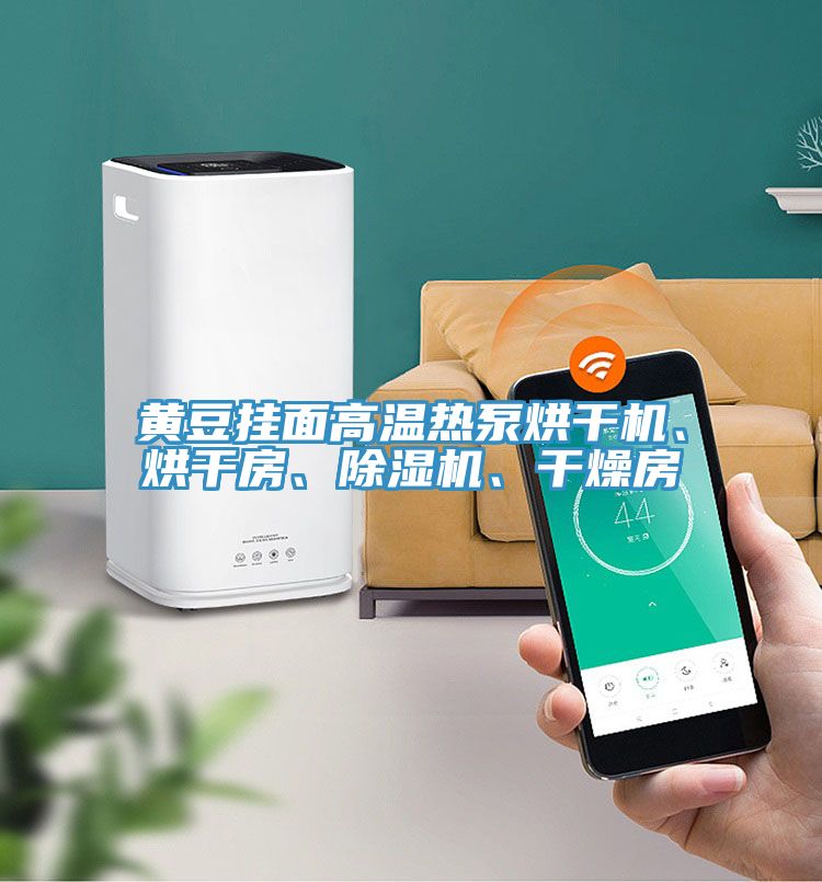 黃豆掛面高溫?zé)岜煤娓蓹C、烘干房、除濕機、干燥房
