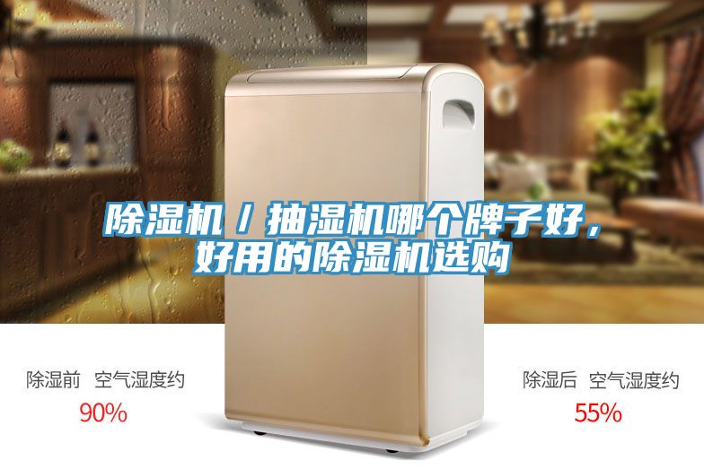除濕機(jī)／抽濕機(jī)哪個(gè)牌子好，好用的除濕機(jī)選購(gòu)