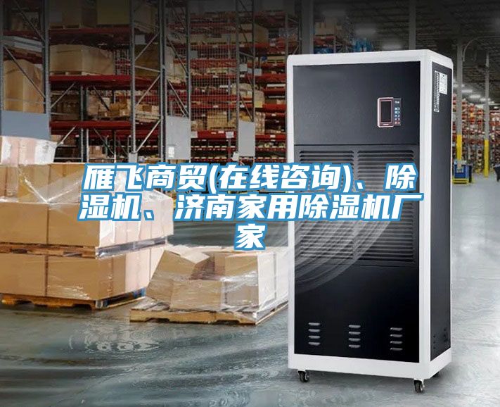 雁飛商貿(mào)(在線咨詢)、除濕機(jī)、濟(jì)南家用除濕機(jī)廠家