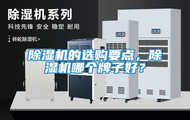 除濕機(jī)的選購(gòu)要點(diǎn)，除濕機(jī)哪個(gè)牌子好？