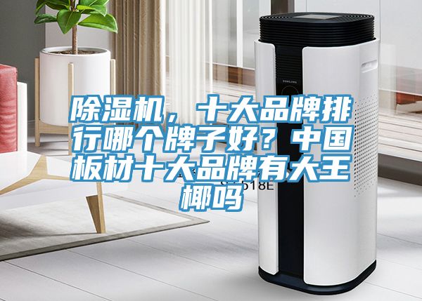 除濕機(jī)，十大品牌排行哪個牌子好？中國板材十大品牌有大王椰嗎