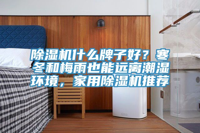 除濕機什么牌子好？寒冬和梅雨也能遠離潮濕環(huán)境，家用除濕機推薦