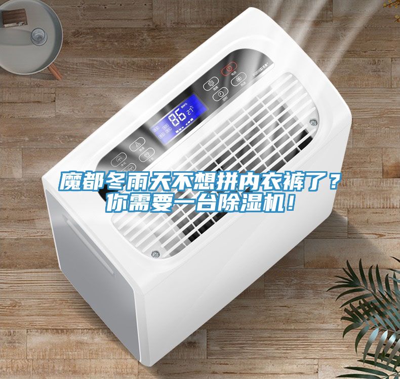 魔都冬雨天不想拼內(nèi)衣褲了？你需要一臺除濕機(jī)！